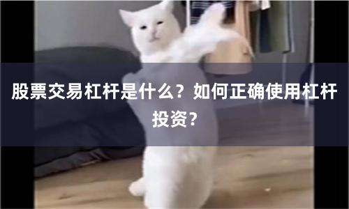 股票交易杠杆是什么？如何正确使用杠杆投资？